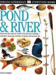 DK Eyewitness guides Pond and River