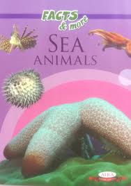 Facts and More Sea Animals