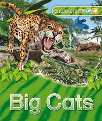 Explorers Big Cats