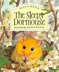 The sleepy dormouse