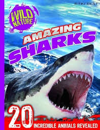 Wild Nature: Amazing Sharks