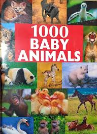 1000 Baby Animals