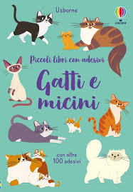 Gatti e micini – Italian