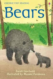 Usborne First Reading- Set of 4 books