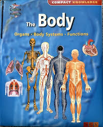 The Body