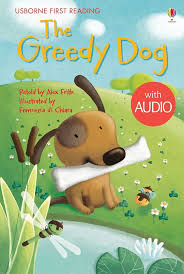 Usborne First Reading- Set of 4 books