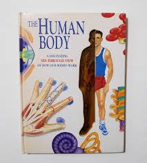 The Human Body : A Fascinating See-Through View of How Our Bodies Work