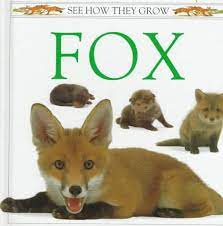 See how they grow Fox – thecuriousbrains
