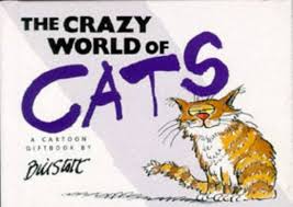 The crazy world of Cats