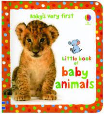 Usborne Little book of baby animals