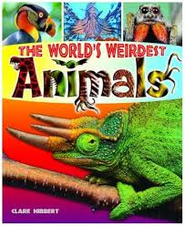 The World's Weirdest Animals