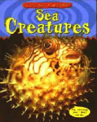 Totally weird Sea creatures