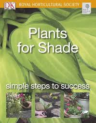 Plants for Shade: Simple steps to success