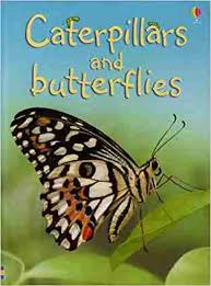 Usborne Caterpillars and butterflies