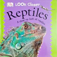 Look Closer- Reptiles A close up look at reptiles