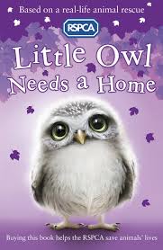 Little owl needs a home