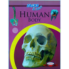 Facts&more Human body-alka