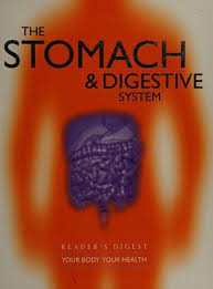 The Stomach & Digestive System