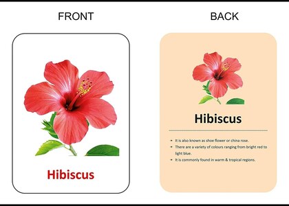 Flowers Flash Cards for kids