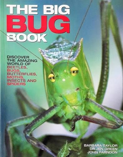 The Big Bug Book: Beetle, Bugs, Butterflies, Moths, Insects and Spiders - Hardcover