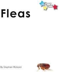 Fleas
