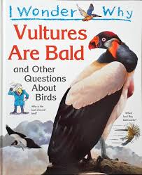 I wonder why Vultures are Baldand other Questions about Birds