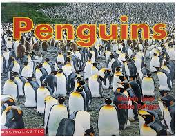 Scholastic : Penguins
