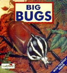 Big bugs