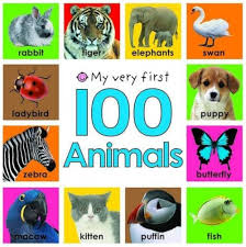 100 Animals