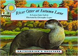 River Otter at Autumn Lane